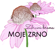 logo zoomed